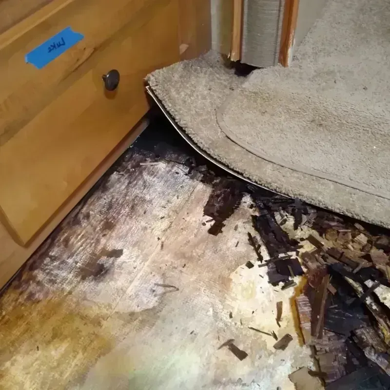 Best Wood Floor Water Damage Service in Windsor, ME